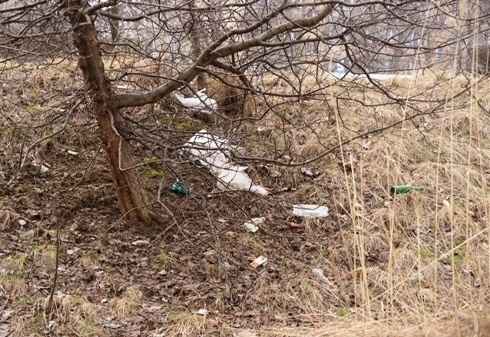 Wiosna, nawet bardzo op&oacute;źniona, to czas szczeg&oacute;lnie wytężonych prac porządkowych. W mieście zajmują się nimi gł&oacute;wnie służby komunalne oraz właściciele i zarządcy nieruchomości. Podobnie, jak przed rokiem i w latach wcześniejszych, Urząd Miasta Legnicy do akcji sprzątania i robienia porządk&oacute;w na terenach należących do gminy włącza też osoby bezrobotne, w ramach prac społecznie użytecznych. Akcja, wsp&oacute;łfinansowana przez miasto i Powiatowy Urząd Pracy, objęła tym razem 11 os&oacute;b.   	Odpowiednio przeszkoleni bezrobotni przystąpili do pracy już dziś (9 kwietnia). Ich zatrudnianie potrwa do końca maja. W tym czasie każdy przepracuje 10 godzin tygodniowo, otrzymując wynagrodzenie w wysokości 7,70 zł za godzinę.  Miasto wytypowało do posprzątania 41 miejsc o łącznej powierzchni aż 43,5 hektara. Znajdują się one w rejonach m.in. osiedla Sienkiewicza, gdzie akcja się rozpoczyna, ul. Inwalid&oacute;w (garaże), al. Zwycięstwa (giełda towarowa), Lasku Złotoryjskiego, Kamiennej, Kraszewskiego, Ogrodowej, Koziorożca, Heweliusza, Radosnej-Niklowej, Piłsudskiego, Łowickiej, Sikorskiego czy Sudeckiej. 